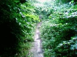 SP_A0118.jpg