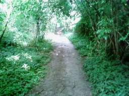 SP_A0119.jpg