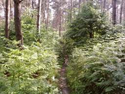 SP_A0125.jpg